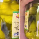 peperoncini-jar-allegedly-containing-dead-mouse-unearthed-by-tiktok-user-prompts-mass-recall