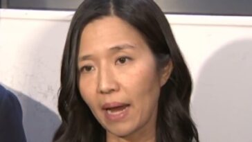 boston-mayor-michelle-wu-giving-tax-dollars-exclusively-to-immigrants-and-non-citizens-to-train-in-political-activism