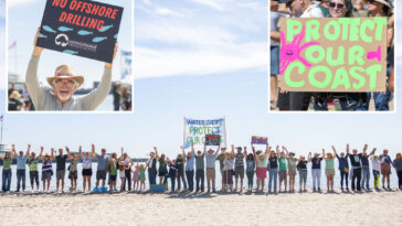 hundreds-of-lefties-link-arms-for-bizarre-‘hands-across-the-sand’-protest-against-california-oil-drilling