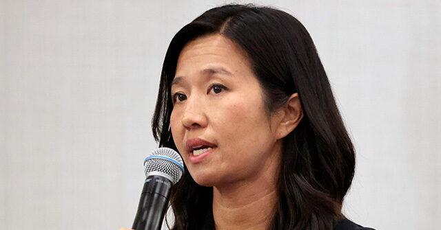 boston-mayor-michelle-wu-pays-illegals-$575-to-take-political-activism-class,-us.-born-residents-not-allowed