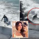 moment-california-surfer-smashed-onto-rocks-by-hurricane-powered-wave-before-celebrity-publicist’s-daring-rescue