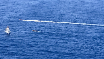 at-least-40-rescued,-2-dead-as-boat-capsizes-after-machete-fight-near-puerto-rico