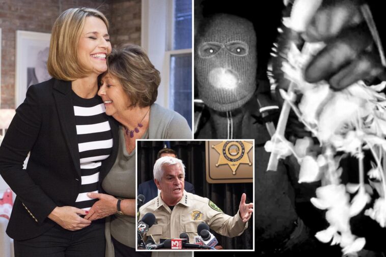 nancy-guthrie-investigators-reviewing-‘new-possible-ransom-note’-almost-eight-months-after-her-disappearance