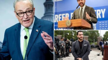 chuck-schumer’s-definition-of-‘antisemite’-would-include-mamdani,-senate-hopeful-el-sayed