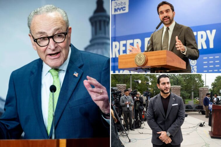 chuck-schumer’s-definition-of-‘antisemite’-would-include-mamdani,-senate-hopeful-el-sayed