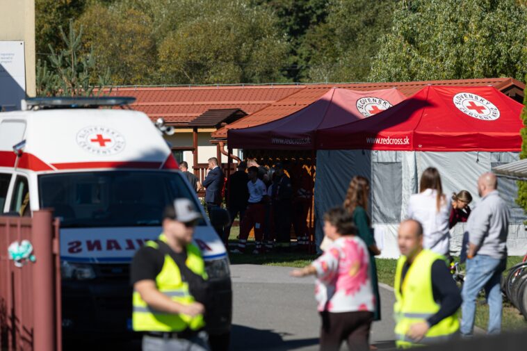 slovakia-elementary-school-student-fatally-stabs-teacher,-injures-at-least-two-others