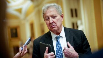 republicans-fear-they-‘haven’t-done-a-damn-thing’-to-lower-prices-ahead-of-midterm-reckoning