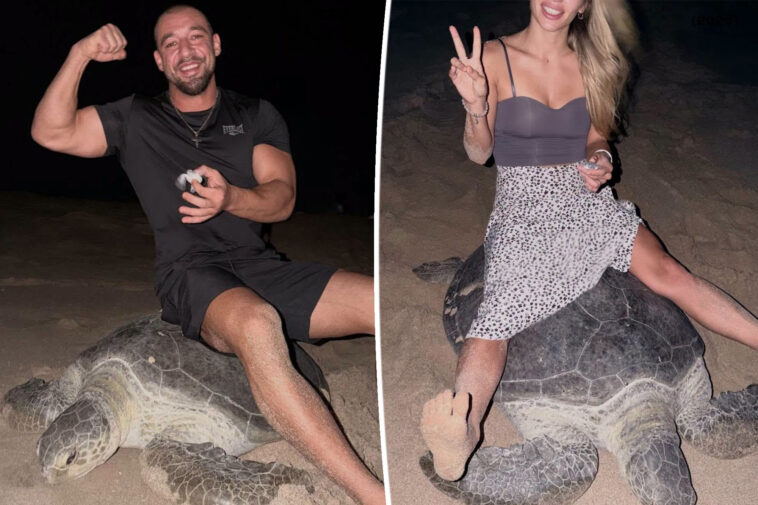 ‘scum-of-the-earth’-tourists-ignite-international-backlash-after-filming-themselves-riding-egg-laying-sea-turtle