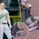 mlb-player’s-hail-mary-to-rescue-awful-season-blames-stadium-fence-in-ridiculous-lawsuit