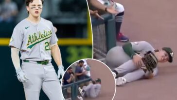 mlb-player’s-hail-mary-to-rescue-awful-season-blames-stadium-fence-in-ridiculous-lawsuit