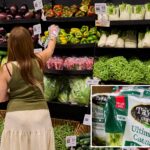 nearly-a-third-of-americans-eating-fewer-fresh-vegetables-after-‘explosive-diarrhea’-virus-outbreak:-poll