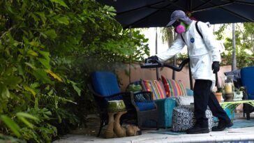 dengue-fever-outbreak-triggers-states-of-emergency-in-3-southern-counties