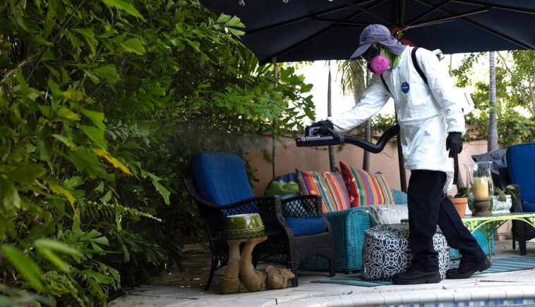 dengue-fever-outbreak-triggers-states-of-emergency-in-3-southern-counties