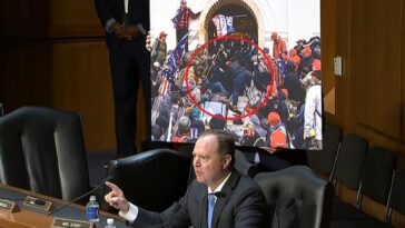 oops!-adam-schiff-accidentally-shows-image-of-murder-of-trump-supporter-roseanne-boyland-by-cops-on-steps-of-us-capitol-during-jack-smith-hearing