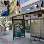 homeless-man-makes-a-camp,-complete-with-shopping-cart,-atop-a-bus-shelter-in-upscale-la-neighborhood