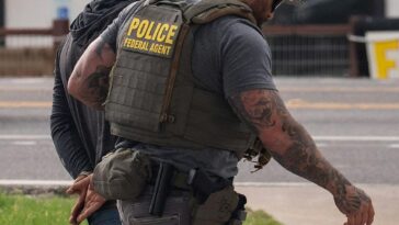 feds-charge-illegal-immigrant-shot-by-ice