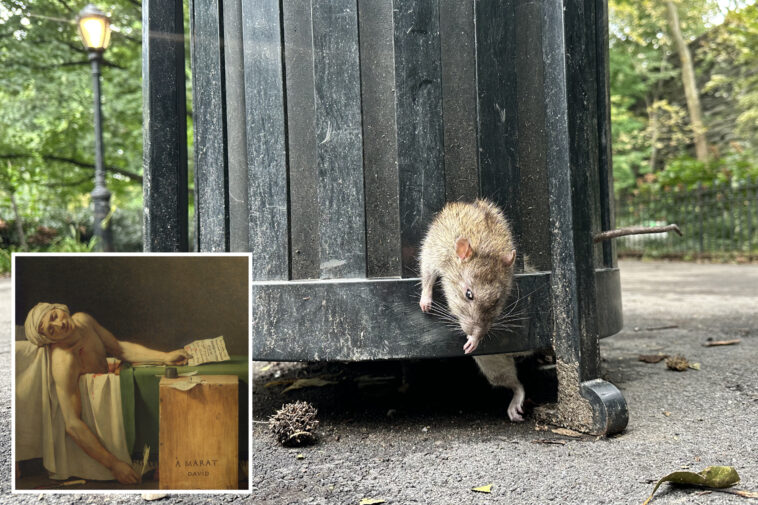 obese-rat-dies-escaping-nyc-trash-can-—-but-locals-laud-sick-scene-as-high-art:-‘it’s-sculpture’