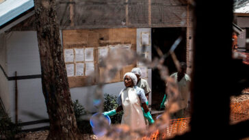 ebola:-dr-congo-logs-8000+-cases-as-attacks-on-officials-increase