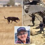 frantic-grave-digging-effort-in-california-desert-uncovers-human-remains-sparking-murder-investigation-two-weeks-after-man-goes-missing