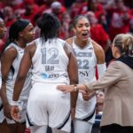 a’ja-wilson-gets-into-heated-altercation-with-fan-in-contentious-aces-fever-playoff-moment:-‘not-for-that-s–t-at-all’
