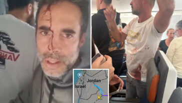 bloodied-israel-bound-jet-passenger-begs-for-help-after-‘hijacking’:-‘we’ve-subdued-the-terrorists’