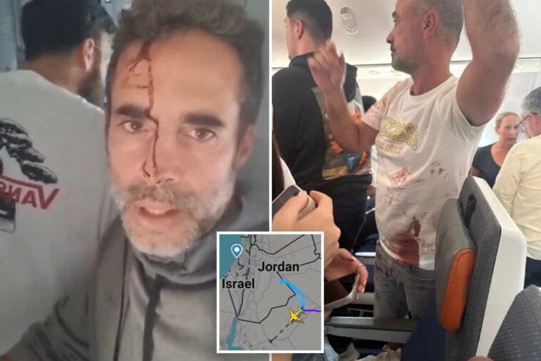 bloodied-israel-bound-jet-passenger-begs-for-help-after-‘hijacking’:-‘we’ve-subdued-the-terrorists’