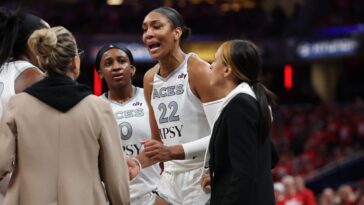 details-emerge-in-incident-between-aces-star-a’ja-wilson-and-fever-fan-during-playoff-game