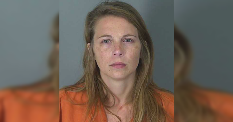 south-carolina-mom-allegedly-stabs-her-two-kids-over-50-times,-arrested-and-taken-for-mental-health-evaluation