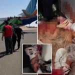 off-duty-pilots-on-israel-bound-plane-heroically-landed-aircraft-after-cockpit-stabbing,-passengers-say