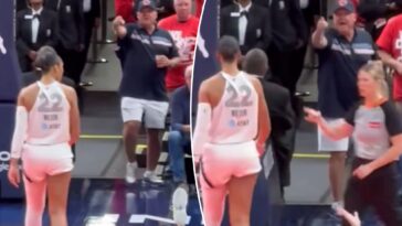 new-angle-emerges-in-wild-a’ja-wilson-confrontation-with-pointing-fever-fan