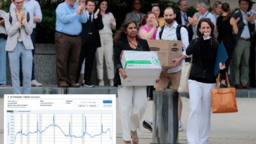 us-federal-workforce-drops-to-lowest-level-in-60-years-after-trump-purged-hundreds-of-thousands-of-employees
