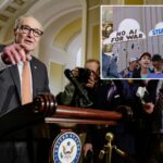 chuck-schumer,-senate-dems-block-bill-to-address-ai-data-center-costs