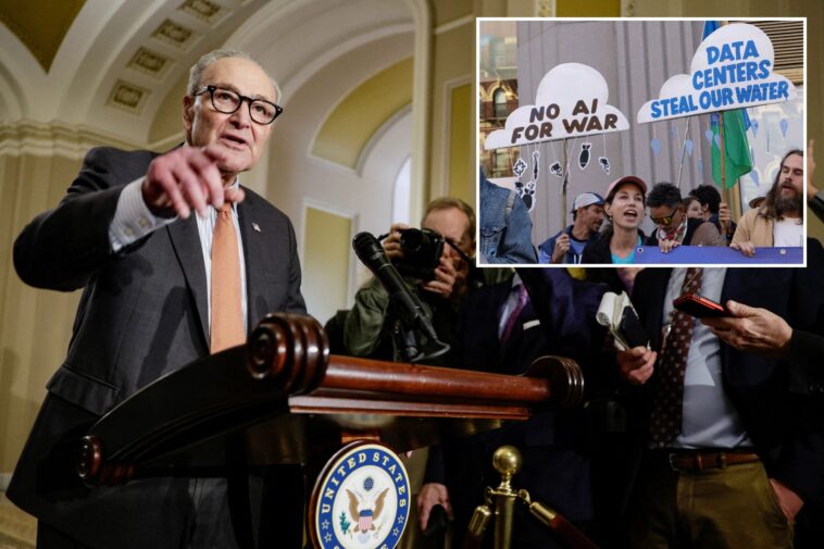 chuck-schumer,-senate-dems-block-bill-to-address-ai-data-center-costs