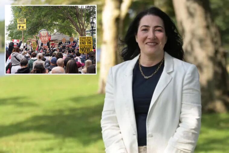 long-island-health-care-exec-motivated-to-run-for-state-senate-over-antisemitism-in-ny:-‘need-more-moderate-voices’