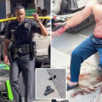 wild-gunfight-erupts-in-la-as-shooters-fire-hail-of-bullets-into-tourist’s-mclaren-supercar
