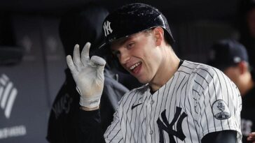 yankees-bullpen-catcher-head-butts-ben-rice’s-grand-slam-on-the-fly-in-hilarious-moment-against-red-sox
