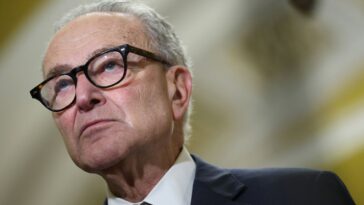 chuck-schumer-orders-democrats-to-block-bill-that-aims-to-force-data-centers-to-cover-increased-energy-costs