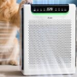 this-slim-air-purifier-just-hit-its-lowest-price-ever-on-amazon-—-now-$90