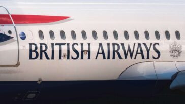 flydubai-hijacker-lands-new-job-at-british-airways