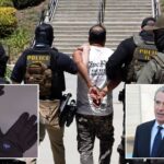 gavin-newsom-targets-ice-agents-with-shock-glove-ban,-job-blacklist-—-but-feds-tell-them-to-ignore-him