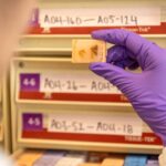 fetal-tissue-supplier-billed-$765-procurement-fee-per-organ,-warns-records-could-imply-illegal-sales:-records