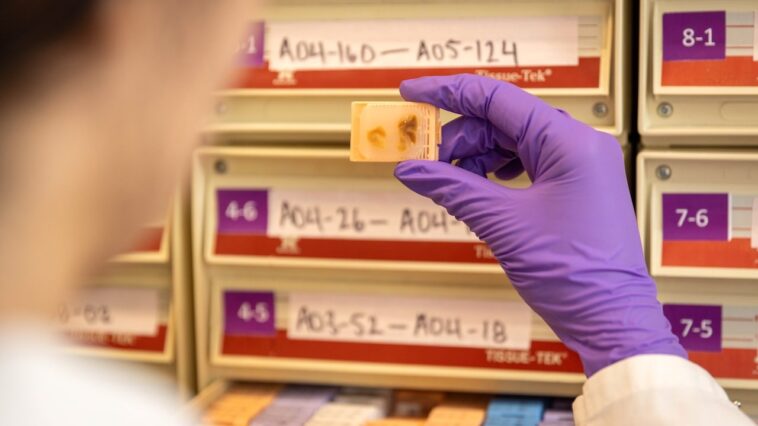 fetal-tissue-supplier-billed-$765-procurement-fee-per-organ,-warns-records-could-imply-illegal-sales:-records