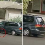 socal-woman’s-cruel-tactics-exposed-as-police-search-for-minivan-used-to-crush-puppy