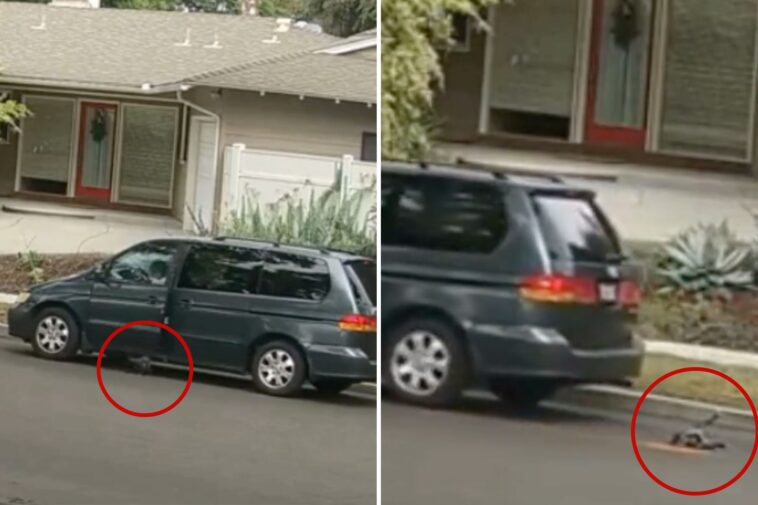 socal-woman’s-cruel-tactics-exposed-as-police-search-for-minivan-used-to-crush-puppy