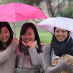 california-state-university-system-weighs-dropping-international-student-english-test-requirement