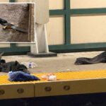 madman-fatally-stabs-straphanger,-59,-during-argument-on-rush-hour-nyc-subway-train:-police