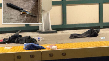 madman-fatally-stabs-straphanger,-59,-during-argument-on-rush-hour-nyc-subway-train:-police
