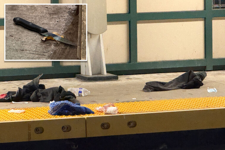 madman-fatally-stabs-straphanger,-59,-during-argument-on-rush-hour-nyc-subway-train:-police