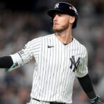 white-sox,-yankees-advance-to-next-round-with-sweeps-as-munetaka-murakami-provides-quote-of-the-year
