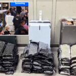 staggering-drug-haul-found-at-orlando-airport-after-bizarre-attempt-to-hide-evidence